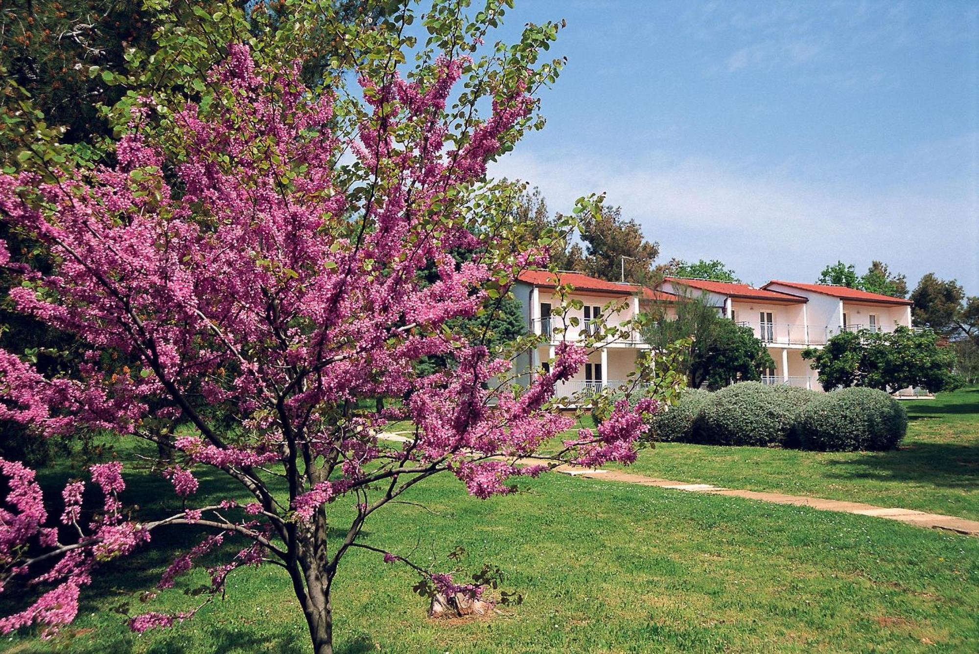 Ai Pini Medulin Resort Extérieur photo